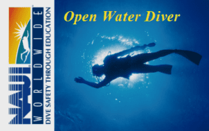 NAUI Open Water Diver C-card