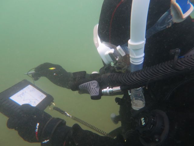 IMG_1284こん IMG_1284こん